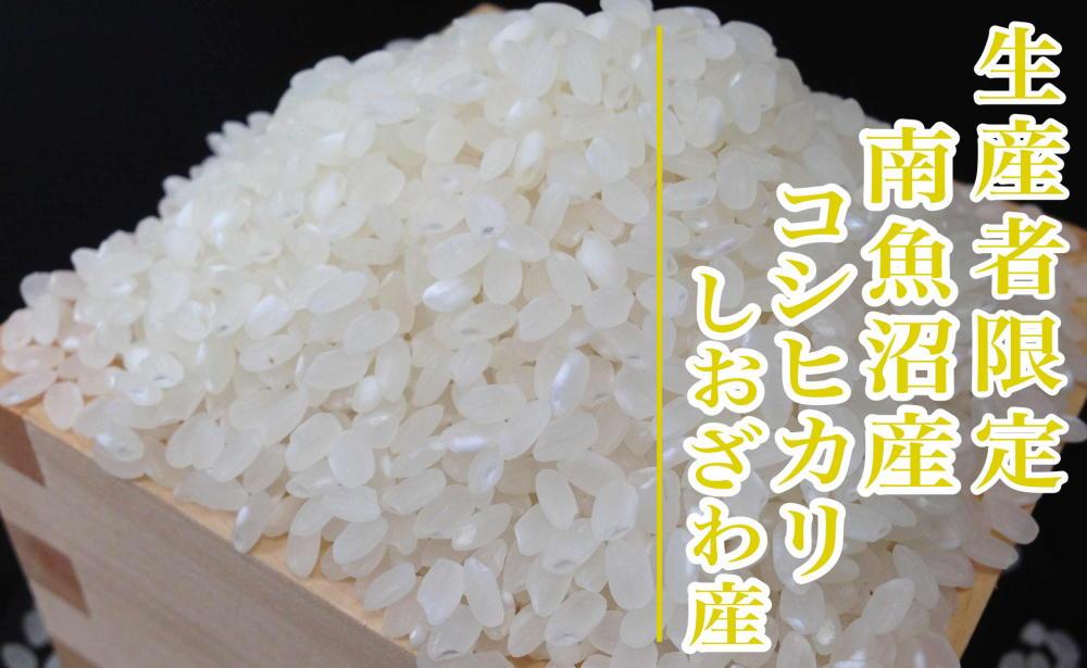 【新米予約・令和6年産】定期便９ヶ月：精米20kg生産者限定 南魚沼しおざわ産コシヒカリ