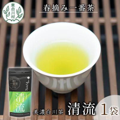 ふるさと納税 東白川村 香りと味の調和 特選煎茶「清流-せいりゅう-」お試し1袋