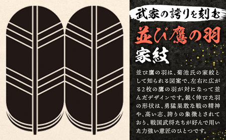 菊池武光公 ポロシャツ・タオルセット 黒 Lサイズ 株式会社アイエヌ《90日以内に出荷予定(土日祝除く)》熊本県 菊池市 シャツ 半袖 ファッション タオル 菊池一族 タオル ポロ 武光公 菊池武光