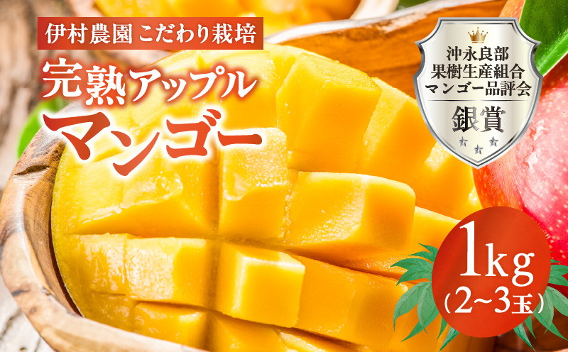 【2027年先行予約】伊村農園こだわり栽培！完熟アップルマンゴー1kg（2～3玉）　W026-001u