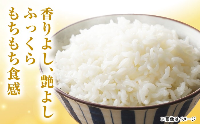 【特A評価獲得！】おいしさが認められた、佐賀県白石町産のさがびより