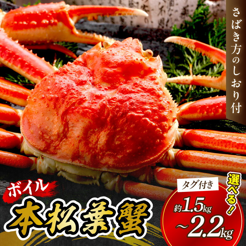 【ふるさと納税】【先行予約】【 国産日本海の松葉蟹をボイルでお届け！ 】 ボイルしてお届け。本松葉蟹 特大2杯 大3杯 4〜5杯（タグ付き）＜12月10日〜2月末までのお届け＞ 国産 魚介類 魚貝類 海の幸 カニ クリスマス 年内配送 年末年始配
