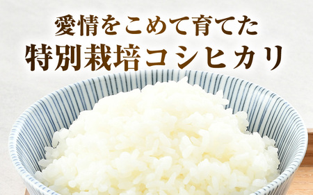 【令和5年産】 特別栽培米 コシヒカリ 無洗米 5kg 低農薬 / 北陸 福井県産 あわら市 ブランド米 白米 お米 コメ 特栽米