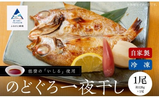 【日本海の高級魚】のどぐろ一夜干し 1尾 要冷凍 干物 ひもの ノドグロ 詰め合わせ 小松市 石川県 【株式会社竹本商店】