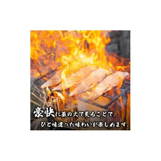 【 かつおのたたき 】 かつおのたたき3パック