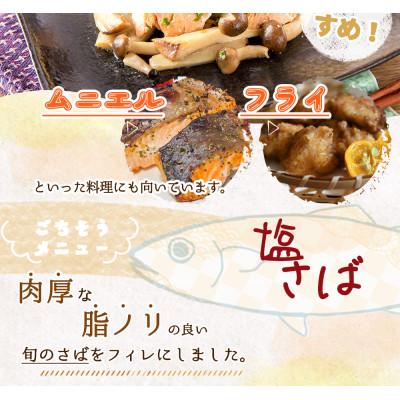 ふるさと納税 紀美野町 和歌山魚鶴仕込の甘口塩銀鮭切身4切&天然塩さばフィレ4枚(2切×2パック&2枚×2パック　小分け) |  | 02
