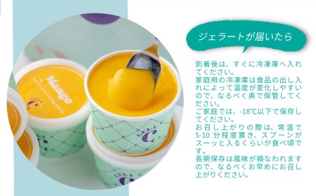 宮崎市産完熟マンゴーで作った濃厚なマンゴージェラート 贈答用 100ml×6個