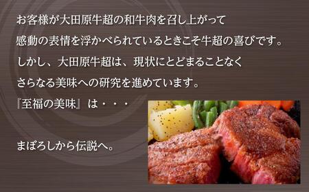 大田原牛 100％ 生ハンバーグ 5パックセット | ブランド 和牛 牛肉 高級 ハンバーグ 自家製 ソース付き