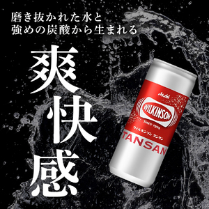 ウィルキンソン タンサン 250ml缶 20本入[ WILKINSON TANSAN 炭酸 炭酸水 強炭酸 缶 飲料 ]
