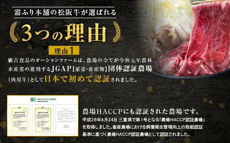 【2026年6月以降順次発送】【額改定】【数量に達し次第受付終了】松阪牛サーロインステーキ600ｇ（約200ｇ×3） 国産松阪牛 三重県 多気町 SS-10-26061