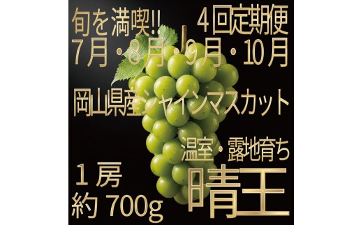 
                  [HS]【定期便全4回】ぶどう先行予約7月・8月・9月・10月発送温室シャインマスカット晴王1房約700g ブドウ 葡萄  岡山県産 国産 フルーツ 果物 ギフト デザート 食後 酸味が少ない 産地直送
                