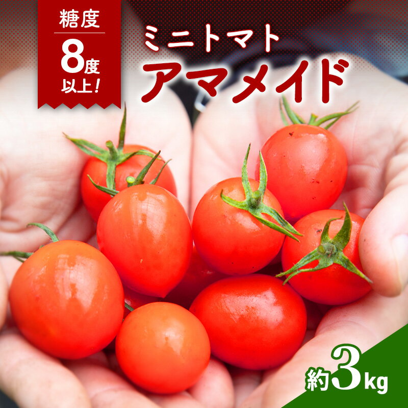 【ふるさと納税】【2025年10月～順次出荷】高糖度 ミニトマト アマメイド 3kg 甘い 糖度8度以上 岸和田市 産地直送 新鮮 野菜 お弁当 サラダ とまと 子供のおやつ 国産　お届け：2025年10月20日～2026年7月20日まで