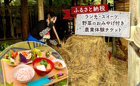 タンジョウ農場 農場体験 家族4名様分 体験 農業体験 チケット ランチ スイーツ 野菜のおみやげ付 千葉市 千葉県