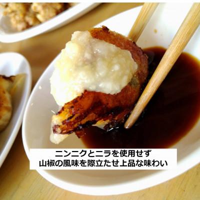 ふるさと納税 白老町 北海道白老町　だぶだぶの肉汁をすすりたくなる餃子　60個(30個入×2P) |  | 01