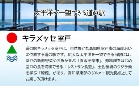 高知の人気パン 食パンセット(ぼうしパン、自家製食パン) 【配送不可地域：離島】【rk003-h01】