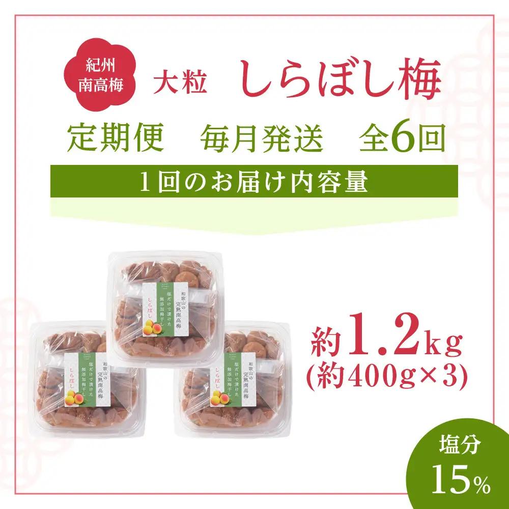 梅干し しらぼし梅 約1.2kg（約400g×3）塩のみ 無添加 大粒 紀州南高梅 塩分約15％ 和歌山県産 [ 定期便 毎月発送・全6回 ]
