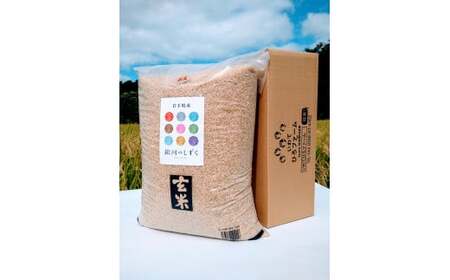 【令和7年産】二戸市産『銀河のしずく』玄米 10kg／ 米 玄米 ご飯 ごはん 岩手県 お取り寄せ 産地直送