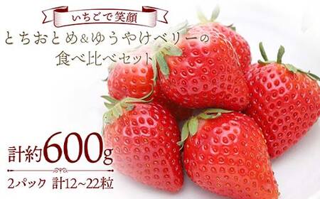 【いちごで笑顔】とちおとめ＆ゆうやけベリーの食べ比べセット 約300g×2パック プレミアムいちご 苺 とちおとめ ゆうやけベリー 食べ比べ F20C-984