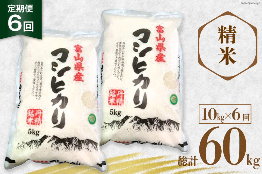 
            6回 定期便 お米 コシヒカリ 精米 10kg×6回 総計60㎏ [サンライス青木 富山県 朝日町 34310556] 米 ごはん 白米 こしひかり 富山県産 60キロ
          