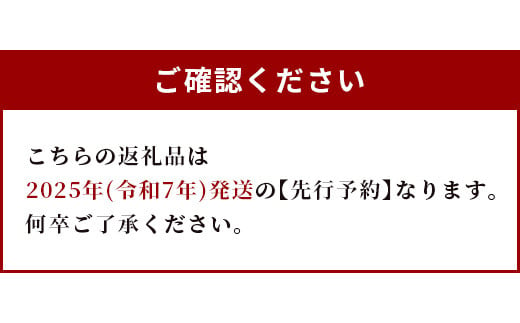 肥後グリーン メロン 計4玉 (2玉入り×2箱)