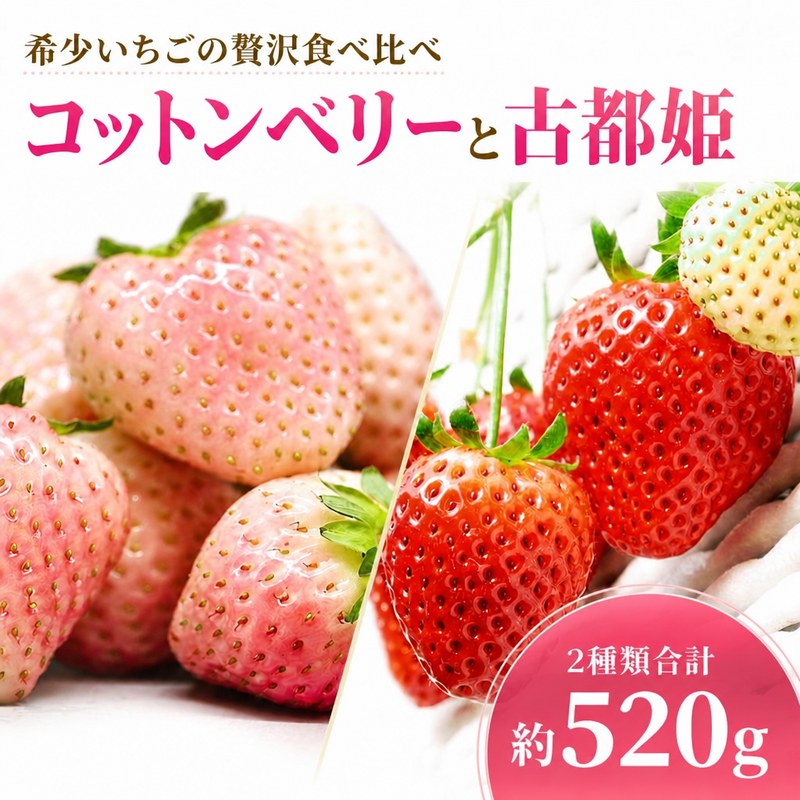 【ふるさと納税】 苺 いちご コットンベリー 古都姫 詰め合わせ 食べ比べ セット 約520g 2027年 1~4月発送 冷蔵 小分け 果物 スイーツ デザート くだもの フルーツ ベリー 大粒 採れたて 完熟 産地直送 先行予約 数量限定 季節限定 ブランド イチゴ 中村農園 奈良県 奈良市