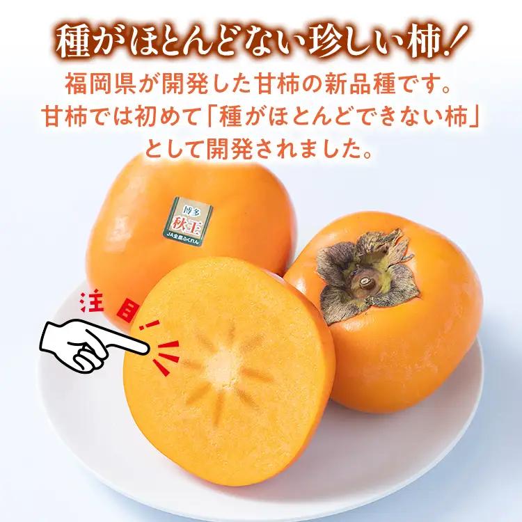 福岡県産ブランド柿「秋王」約3kg(8-12玉)