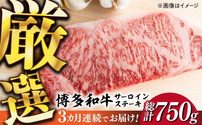 
            【全3回定期便】【厳選部位使用！】博多和牛A4以上サーロインステーキ250g×1枚《築上町》【株式会社MEAT PLUS】 牛肉 肉 [ABBP045] 28000円
          