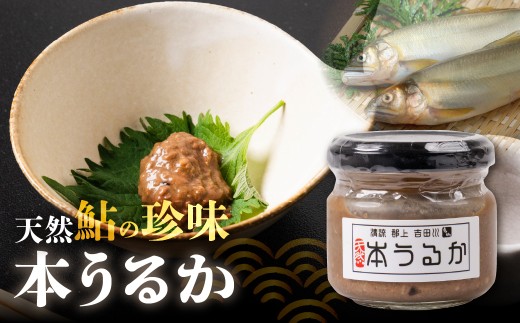 郡上八幡吉田川 天然鮎 本うるか（80g）食品 天然あゆ 酒 おつまみ 加工品 珍味 郡上市 15000円