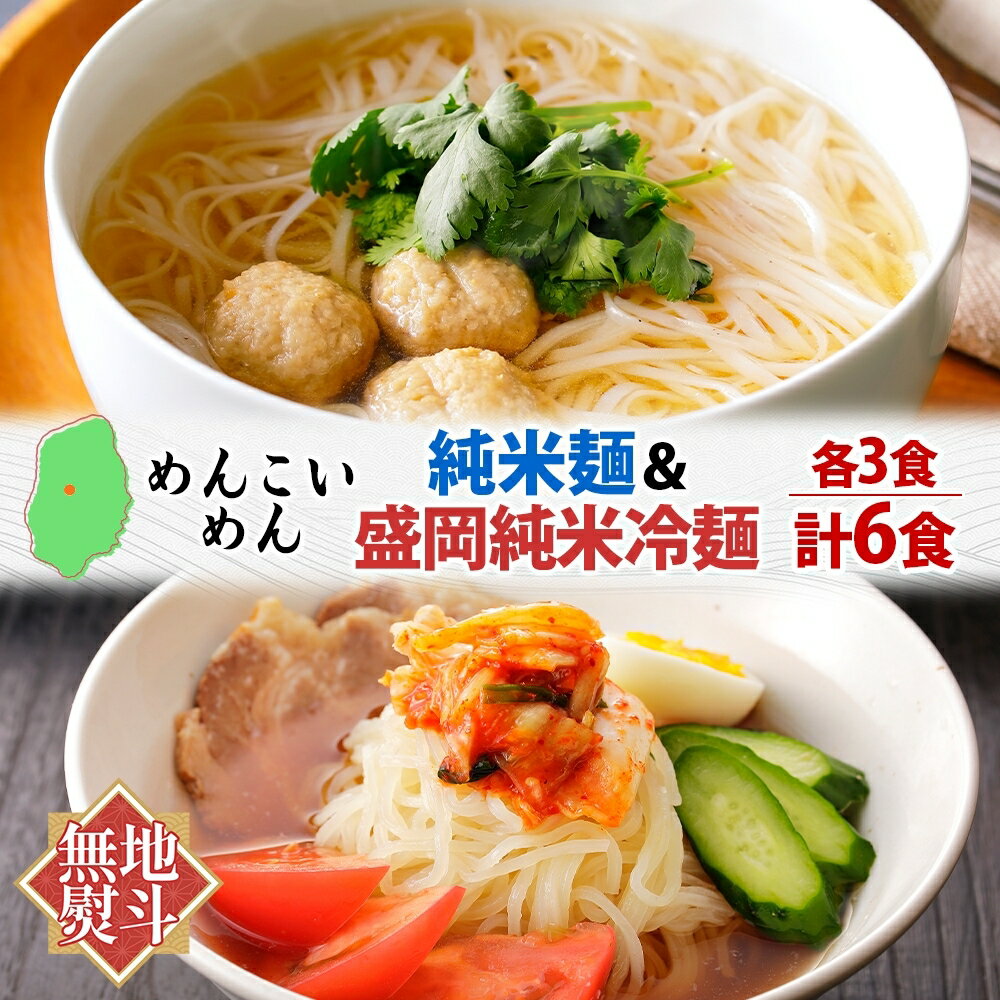 【ふるさと納税】 めんこいめん 2種 食べ比べ Eセット 計6食 無地熨斗 のし 熨斗 名入れ不可 純米麺 盛岡純米冷麺 盛岡冷麺 盛岡三大麺 ご当地グルメ 岩手県 盛岡市 東北 岩手 盛岡 農事組合法人となん