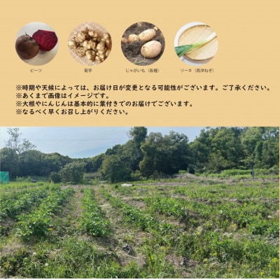 【こだわり秋の野菜詰め合わせセット】Sサイズ　栽培期間中農薬・化学肥料・除草剤不使用の旬野菜【配送不可地域：離島】【1679692】