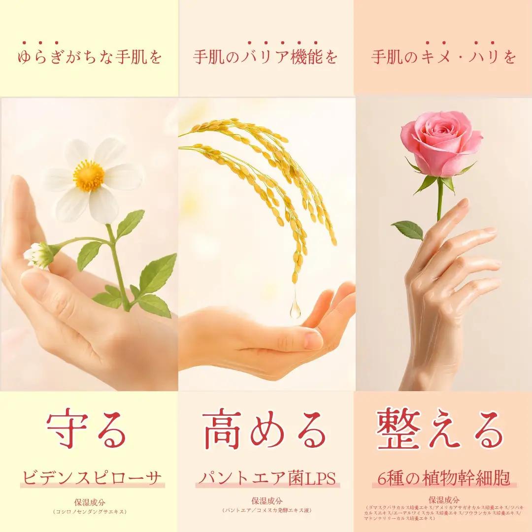 オプティモ フローラルハンドクリーム 50g×5