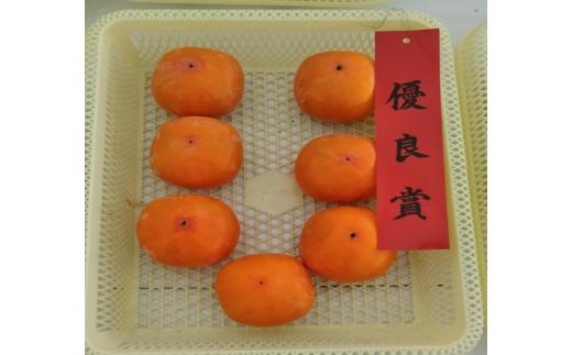 「市川さんの柿」東京御所１０ｋｇ