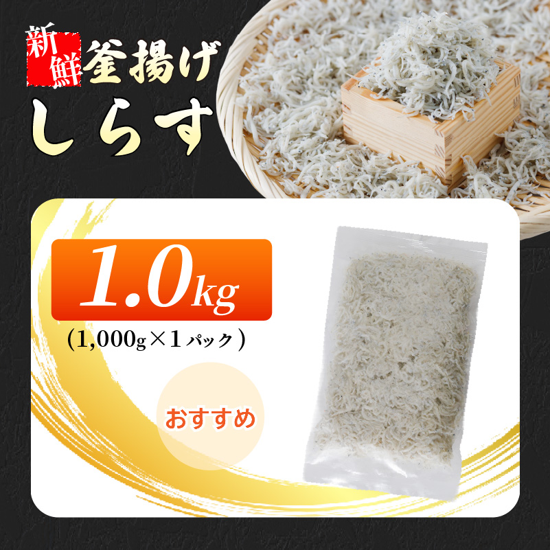 【大人気】 しらす 1kg ( 1kg × 1パック ) 冷凍 約15人前 しらす丼 丼ぶり 魚 さかな ご飯 ごはん 炒飯 チャーハン パスタ スパゲティ サラダ 卵焼き お取り寄せ グルメ 人気 