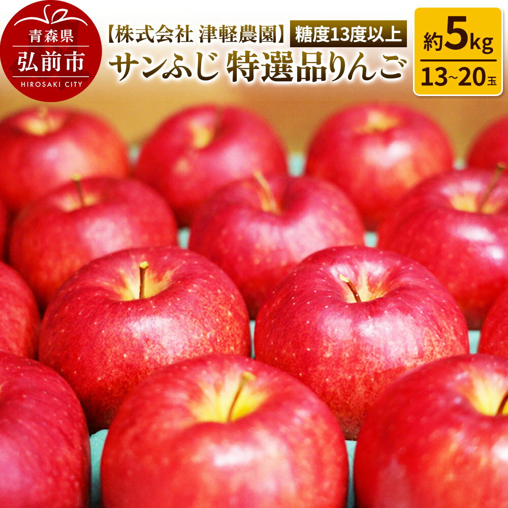【ふるさと納税】りんご 【糖度13度以上】サンふじ【特選品】約5kg 13〜20玉程度 ASIAGAP認証農場 津軽農園
