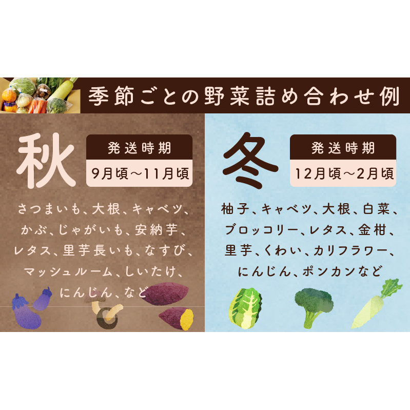 【家計応援】野菜セット 8種類【詰め合わせ 国産 旬 お試し おまかせ お楽しみ 期間限定 スピード発送】 005A443a_イメージ5
