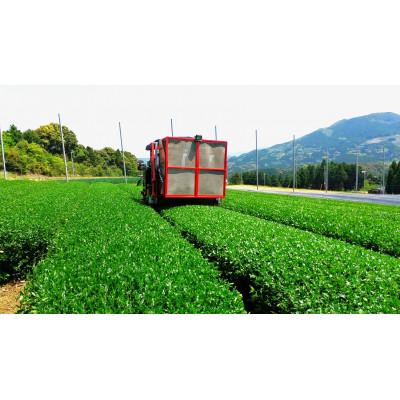 ふるさと納税 伊万里市 【2025年2月上旬発送】平島さんの伊万里深むし緑茶 |  | 02