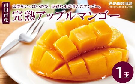 【先行予約】高知県南国市産／完熟アップルマンゴー1個（2025年6月～発送）【マンゴー フルーツ マンゴー くだもの マンゴー デザート マンゴー 高評価 マンゴー 厳選 マンゴー 高級 マンゴー ギフト マンゴー 贈り物 マンゴー 人気 アップル フルーツ マンゴー おすすめ】