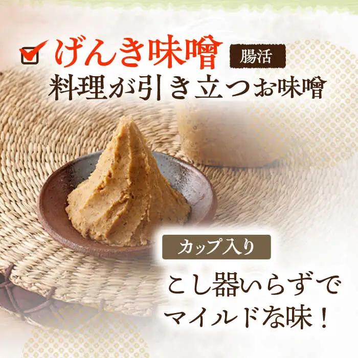 【2回定期便】さきちの厳選お手軽腸活3点セット（生あまざけ 100g×15本・手作り糀のげんき味噌・食材のうまみ倍増 塩糀） [OBF029]