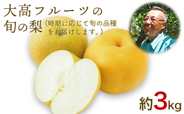 大高フルーツの旬の梨(幸水/豊水/秋麗/あきづき/甘太/新高)★約3kg(5-12玉前後) 《7月下旬-10月中旬頃出荷》予約受付中 フルーツ 秋 旬★熊本県玉名郡玉東町 