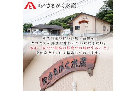 鹿児島県産地たこのゆでたこ(計1kg) 阿久根市 国産 九州産 特産品 新鮮 地ダコ タコ 魚介 魚貝 海産物 海鮮 蛸 味付 刺身 磯辺焼き たこ焼き 唐揚げ 料理 おかず お弁当【さるがく水産】a