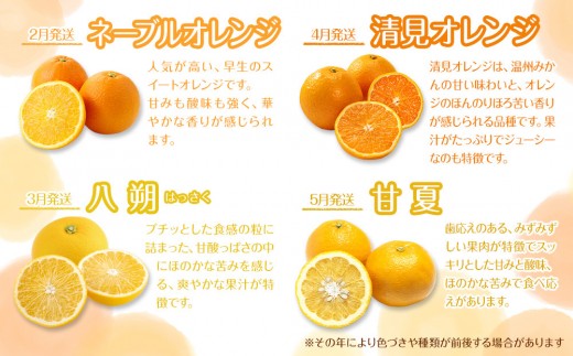 ［定期便］森本農園の手選別 訳あり柑橘定期便 約2kg サイズ混合 和歌山県産 ［北海道・沖縄・離島配送不可］［2026年10月～2027年5月まで全8回お届け］ ［RN170］