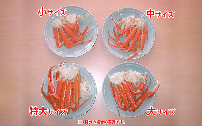 【期間限定】【訳あり品】≪浜茹で≫越前産水がに 1kg（4肩～8肩）産地直送　お手頃【雄 ズワイガニ 越前ガニ 足のみ ボイル 冷蔵 かに カニ 蟹 福井県】希望日指定可 備考欄にメールアドレスをご記