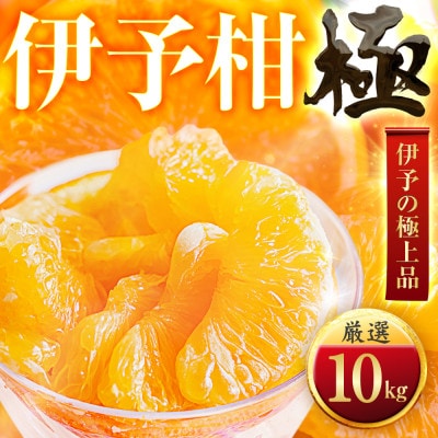 【太陽をたっぷり浴びた】伊予柑【極】10kg【F49−44】【1509741】