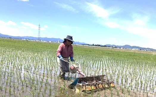 除草作業の風景。機械での作業が終わったら、人の手で作業します。