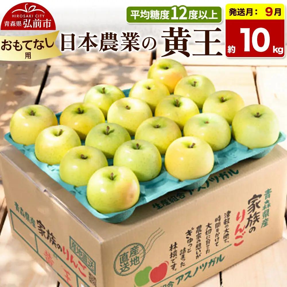 【26年9月クール便発送】りんご 黄王【おもてなし用】約10kg 平均糖度12度以上 青森県産 果物 フルーツ 林檎 リンゴ くだもの