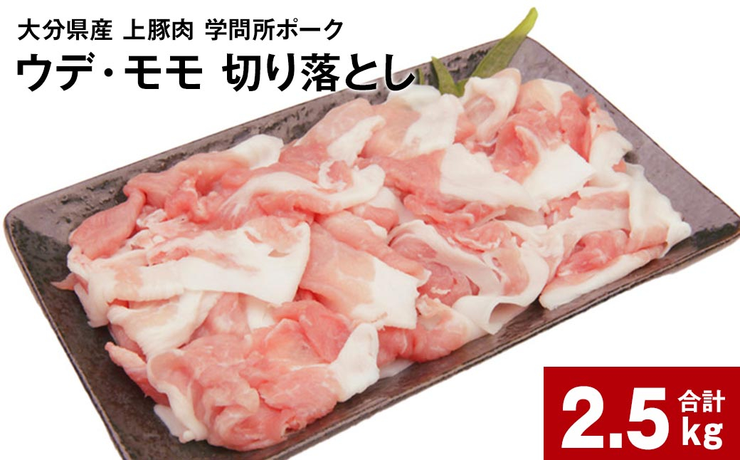 
大分県産上豚肉 「学問所ポーク」 ウデ・モモ 切り落とし 真空パック 小分け 計2.5kg（250g×10パック）
