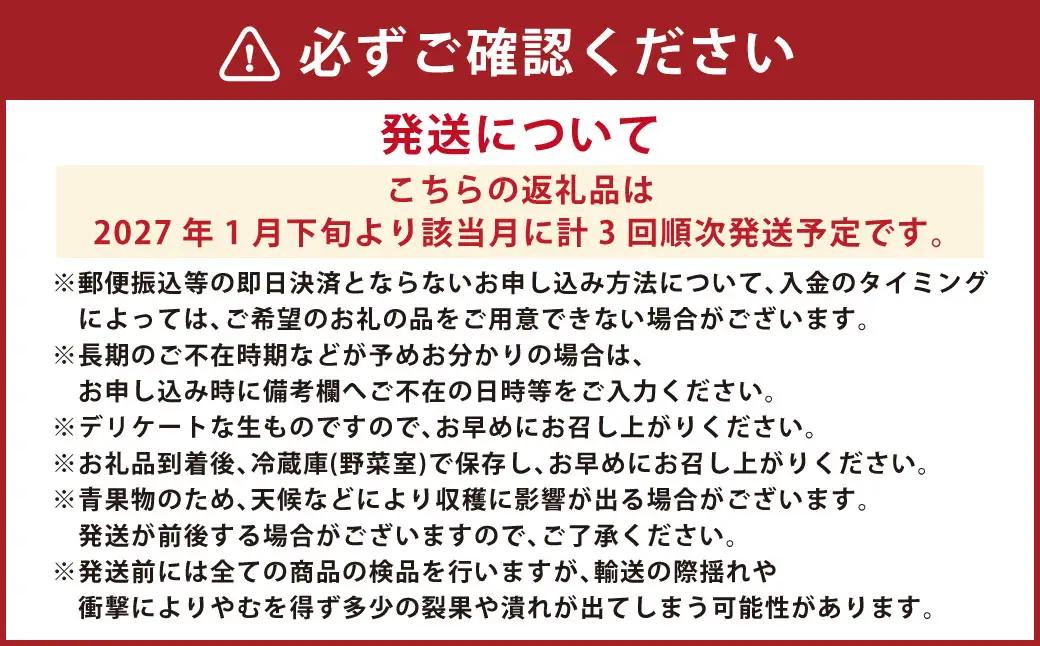 【3か月連続定期便】にべさんちの苺 熊本県産イチゴ食べ比べ定期便 (かおり野・桃薫・空音) 【2027年1月下旬発送開始】