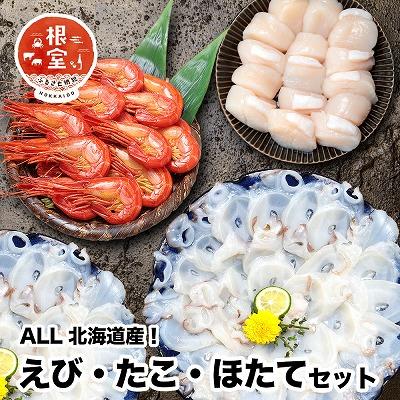 ふるさと納税 根室市 シマエビ400g・タコしゃぶ500g・ほたて300g B-24020