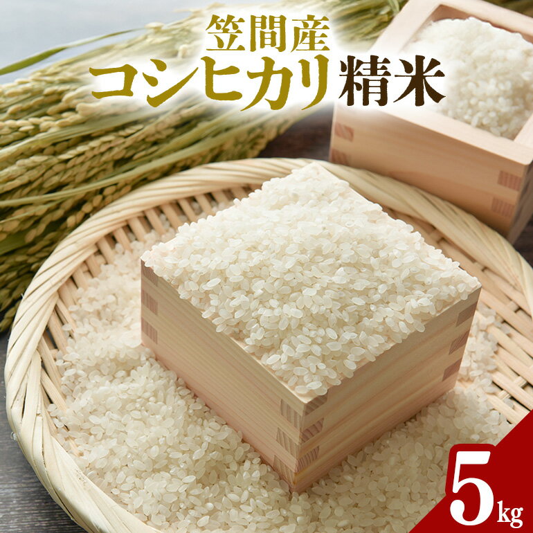 【ふるさと納税】令和7年度 笠間産 コシヒカリ 5kg 精米 米 白米 新米 茨城県