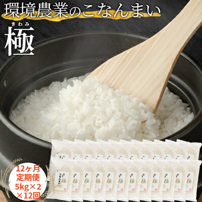 【ふるさと納税】【12ヶ月定期便】環境農業のこなんまい 極10kg お米 おにぎり